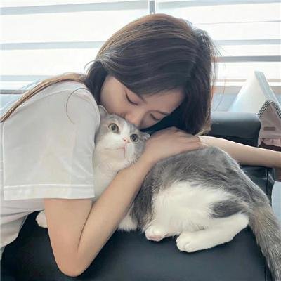 绢恋